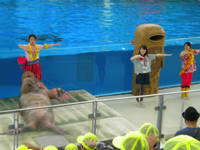 水族館でのショー　画像